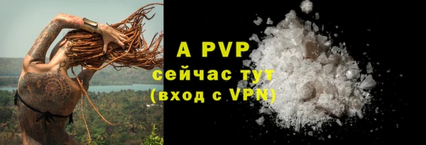 дмт Пенза