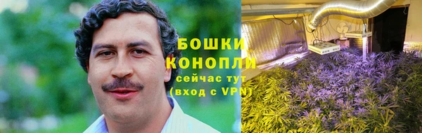 дмт Пенза