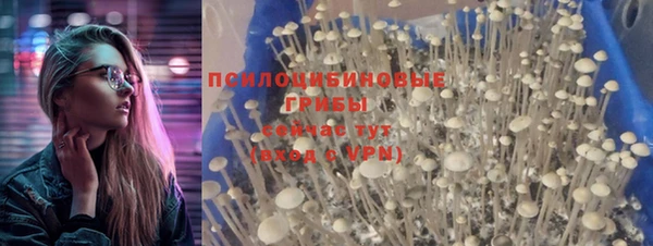 дмт Пенза