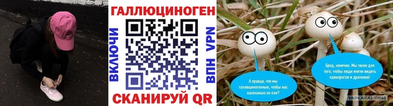 закладки  Салават  Галлюциногенные грибы Psilocybine cubensis 