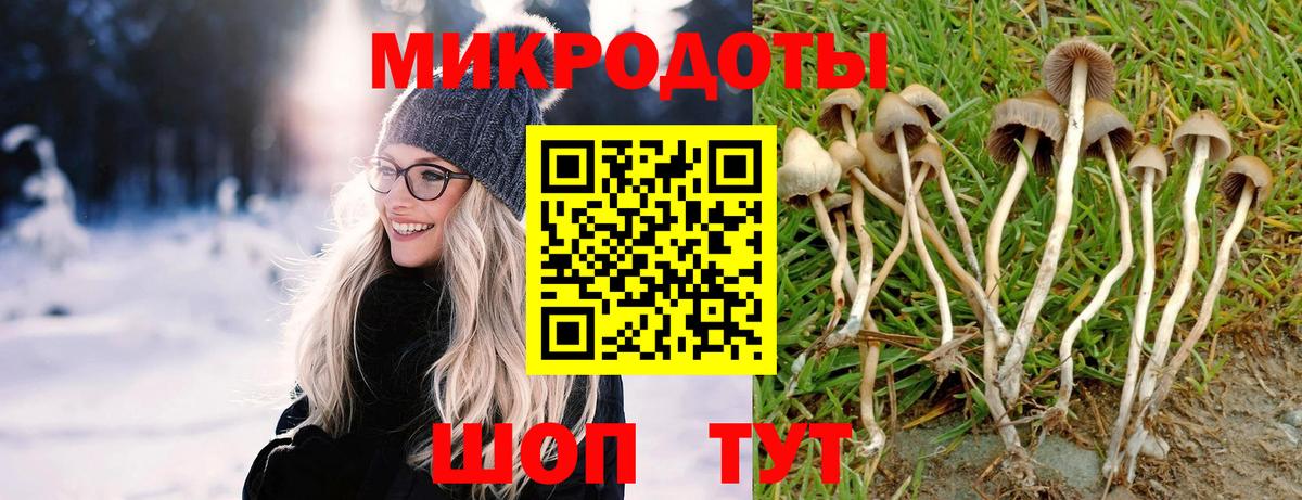 Псилоцибиновые грибы Psilocybine cubensis  Вход с VPN  Салават 