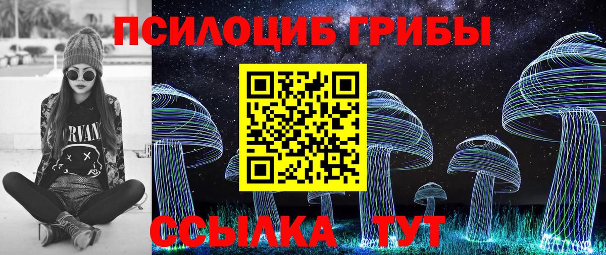 Псилоцибиновые грибы GOLDEN TEACHER Салават