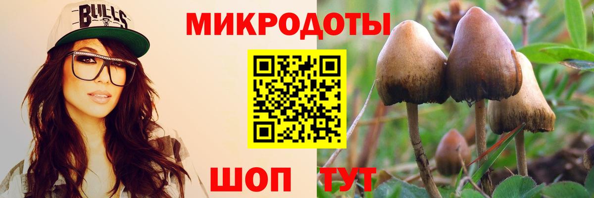 Псилоцибиновые грибы Psilocybe  Салават 